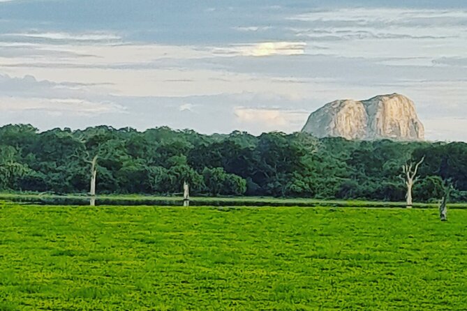 Tours and Transportation in Sri Lanka - A Practical Breakdown of What a One-Day Plan Usually Includes