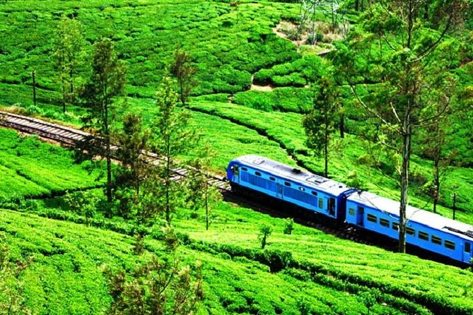 Train Tickets from Nanuoya (NuwaraEliya) to Ella - Key Things I’d Pay Attention To Before You Go