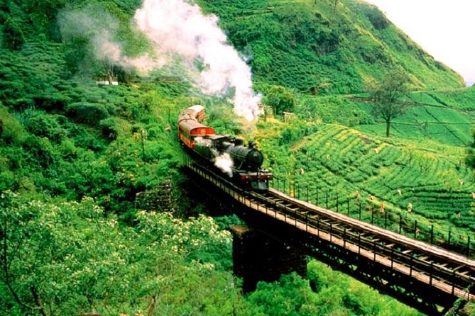 Train Tickets from Nanuoya (NuwaraEliya) to Ella - Nanuoya to Ella: Why This Ride Is Worth Your Time