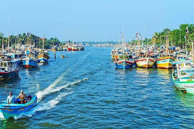 Travel Srilanka WITH Shanaka - Price and Value: $87.84 for Up to Three