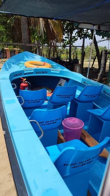 Trincomalee: Dolphin & Whale Watching Boat Tour - Key points before you go