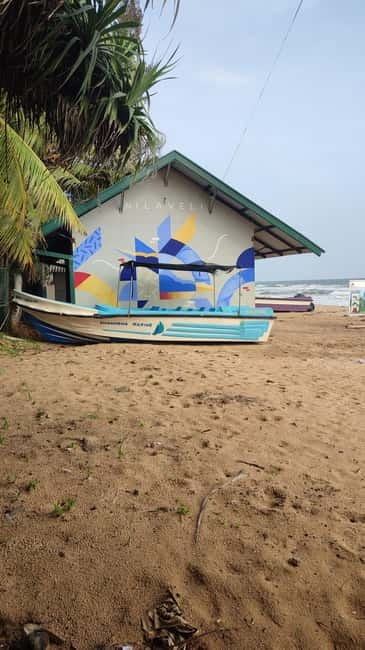 Trincomalee: Dolphin & Whale Watching Boat Tour - Why Trincomalee and Nilaveli are worth your time