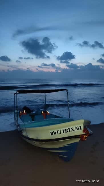 Trincomalee: Dolphin & Whale Watching Boat Tour - Who should book this Nilaveli whale and dolphin tour (and who should skip it)