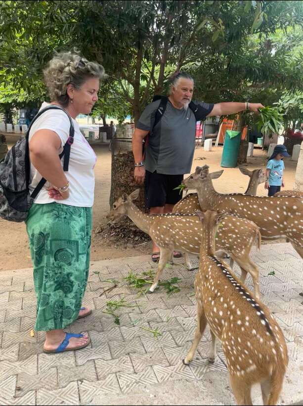 Trincomalee: Tuk-Tuk city tour with a guide - Quick highlights