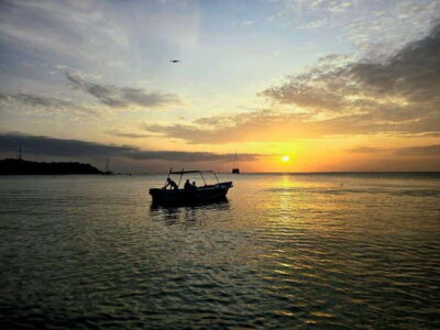 Trincomalee : Whale & dolphin watching +pigeon island tour - Pickup, transfers, and what the first hour feels like