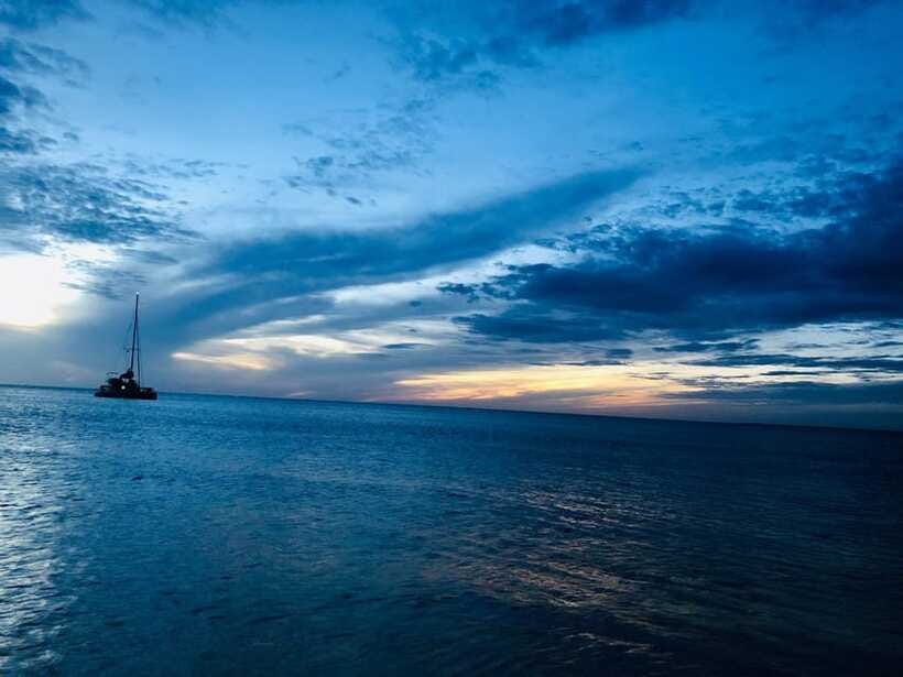 Trincomalee : Whale & dolphin watching +pigeon island tour - Who this tour suits best (and who should skip it)
