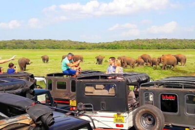 trip sri lanka (10 Days , 9 Nights) with driver, vehicle and H/B accommodations - Colombo Fort and city time that’s actually useful (not just photo stops)