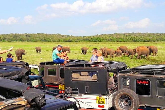 trip sri lanka (10 Days , 9 Nights) with driver, vehicle and H/B accommodations - Colombo Fort and city time that’s actually useful (not just photo stops)