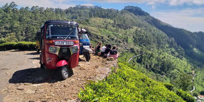 Tuk-Tuk Safari Liptons seat,Tea Fields Hike,TeaFactory Tour - Tea Fields Hike: Estate Paths With a Guide’s Filter