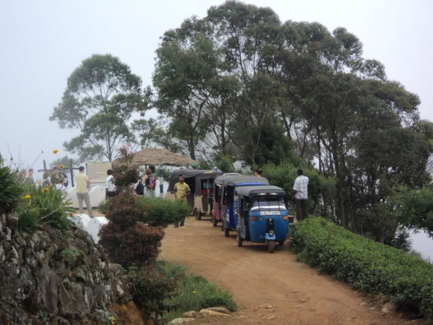 Tuk-Tuk Safari Liptons seat,Tea Fields Hike,TeaFactory Tour - Picnic Lunch in the Countryside (Plus a Rain Plan)