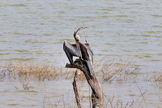 Udawalawa National Park half day Safari - Price and Value: Is $85 a Fair Deal?