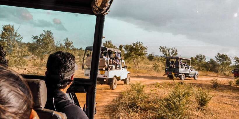 Udawalawa National Park: Private Safari - How the 3-hour safari actually plays out (and what to watch for)