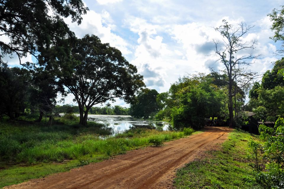 Udawalawa National Park: Private Safari - Price and logistics: is $25 good value?