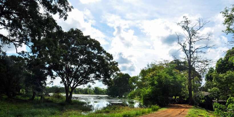 Udawalawa National Park: Private Safari - What to pack for a hot, dusty, wildlife-focused ride