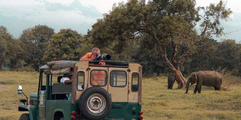 Udawalawa National Park: Private Safari - Who this private safari is best for