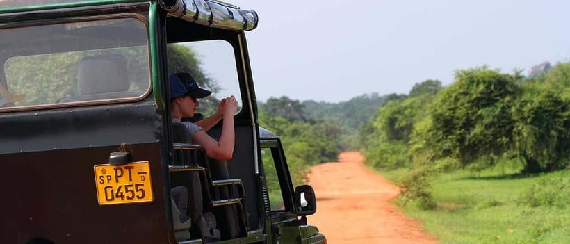 Udawalawa National Park Safari Tour with Experienced Guides - Your 3-hour safari rhythm: what the time is really for
