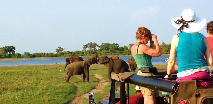 Udawalawa National Park Safari Tour with Experienced Guides - What can go wrong (and how to handle it)