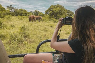 Udawalawa Safari Drive From Galle, Weligama, Mirissa & Dickwella - Elephants Plus Crocs, Deer, Birds: What You Can Really Look For
