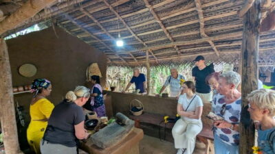 Udawalawe: Farm to Table Cooking & Authe: Village Experience - Cinnamon tea welcome and a village start you can feel