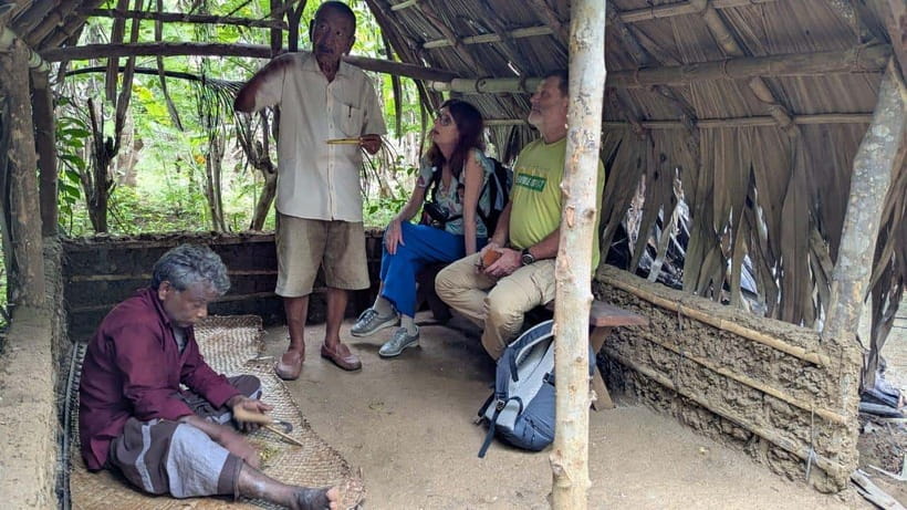 Udawalawe: Farm to Table Cooking & Authe: Village Experience - Melas participation: the festival side of everyday life