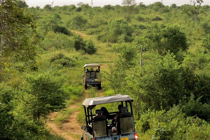 Udawalawe National Park Entrance Ticket with Private Safari - Jeep crowding: why “more jeeps” can still feel fine