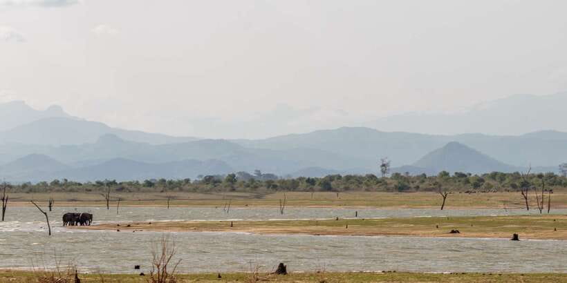 Udawalawe National Park Private Full-Day Safari - A 9-Hour Day: How the Time Typically Flows