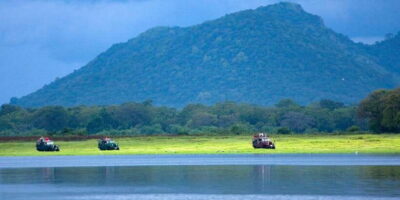 Udawalawe National Park Private Full-Day Safari - The 4x4 Jeep Setup and Your Guide Working Style