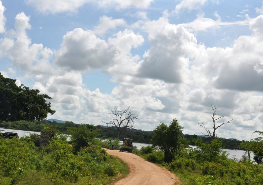Udawalawe National Park Private Full-Day Safari - Timing and Meeting Point: Making the Day Feel Smooth