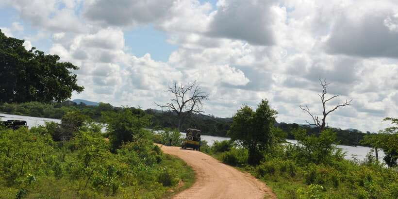 Udawalawe National Park Private Full-Day Safari - What to Bring (So You Don’t Get Stuck Mid-Day)