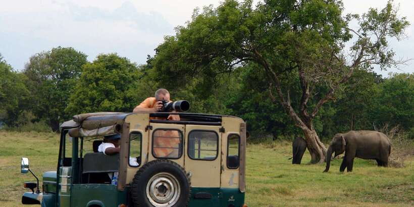 Udawalawe National Park Private Full-Day Safari - Who This Safari Is Best For