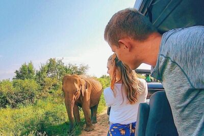 Udawalawe National Park Private Safari - Colombo Pickup and the 4-Hour Reality Check