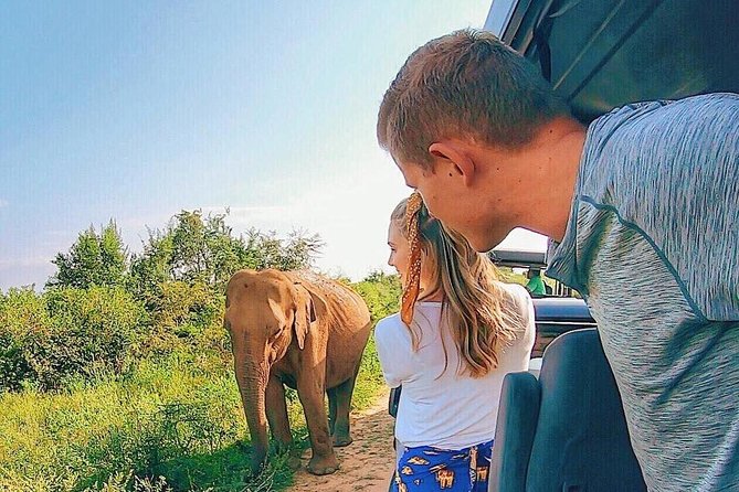 Udawalawe National Park Private Safari - Colombo Pickup and the 4-Hour Reality Check