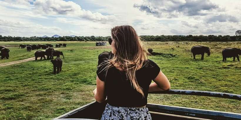 Udawalawe: National Park Safari & Elephant Transit Home Tour - Udawalawe in Four Hours: What This Safari Really Delivers