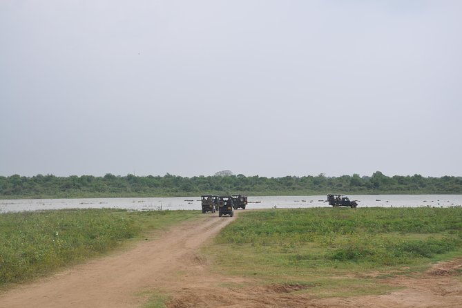Udawalawe National Park Safari from Bentota - A quick Bentota stop (and why it’s basically a buffer)