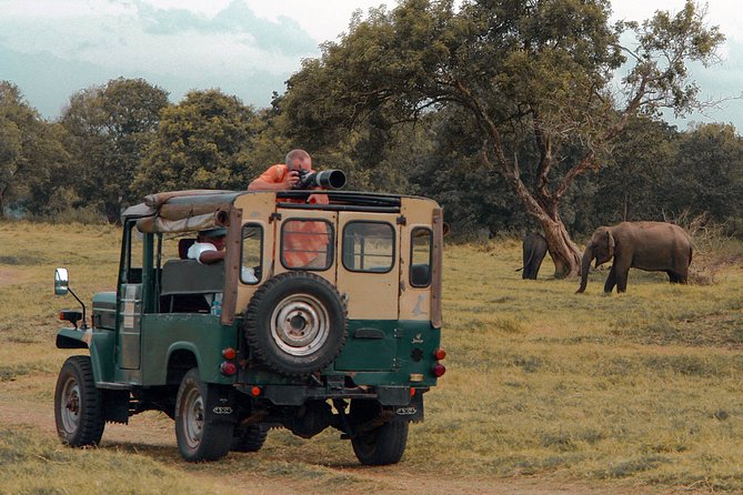 Udawalawe National Park Safari from Galle - What to expect in the park, hour by hour