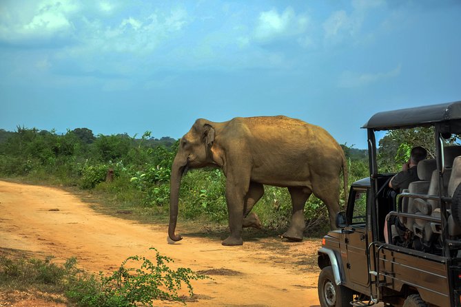 Udawalawe National Park Safari from Galle - The short Galle stop at the end: quick and useful, not a tour