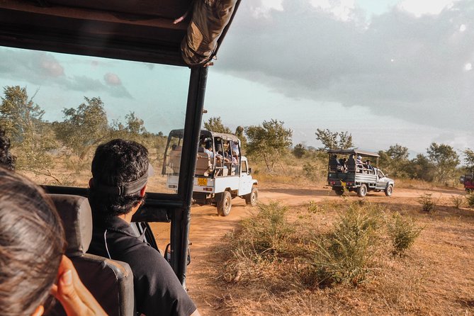 Udawalawe National Park Safari from Galle - Small logistics that can make a big difference