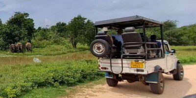 Udawalawe National Park Safari Tour - The 10-hour schedule: what it means for you