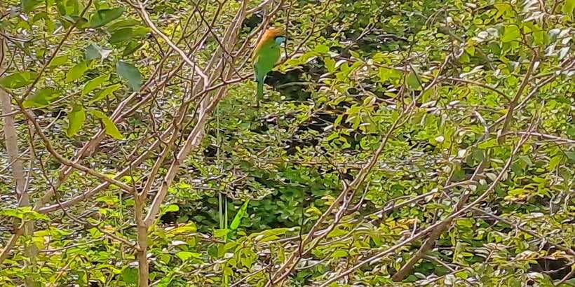 Udawalawe National Park Safari Tour - Price and value: is $110 worth it?