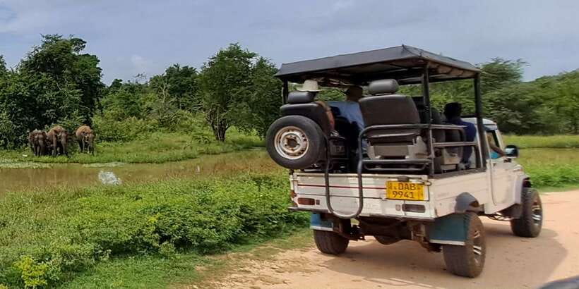 Udawalawe National Park Safari Tour - The 10-hour schedule: what it means for you
