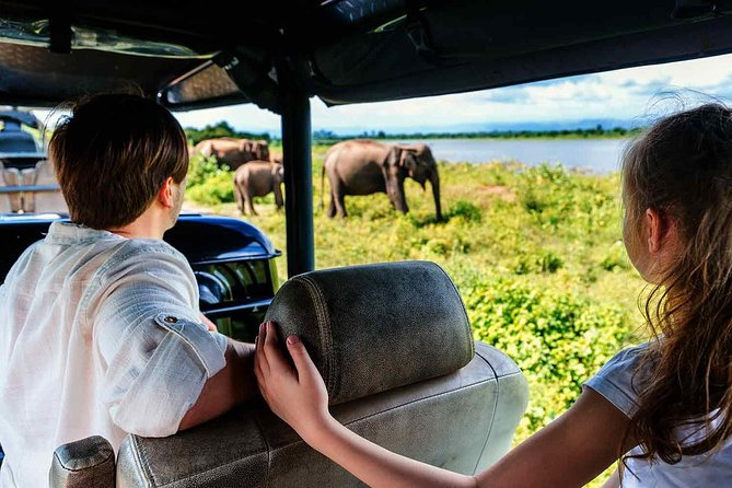 Udawalawe National Park Safari with Elephant Transit Home Visit - Price and value: is $24 a bargain or a trap?