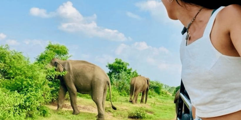 Udawalawe National Park: Safari with Experienced Driver - Key Safari Takeaways (Udawalawe)