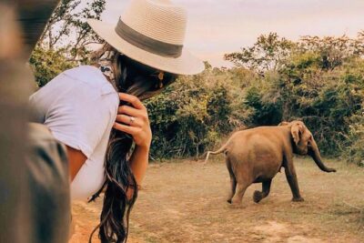 Udawalawe National Park Safari with Private Driver-Jeep and Enter ticket - At the Udawalawe gate: what your safari day feels like