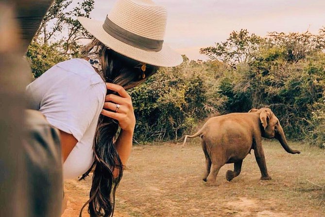 Udawalawe National Park Safari with Private Driver-Jeep and Enter ticket - At the Udawalawe gate: what your safari day feels like