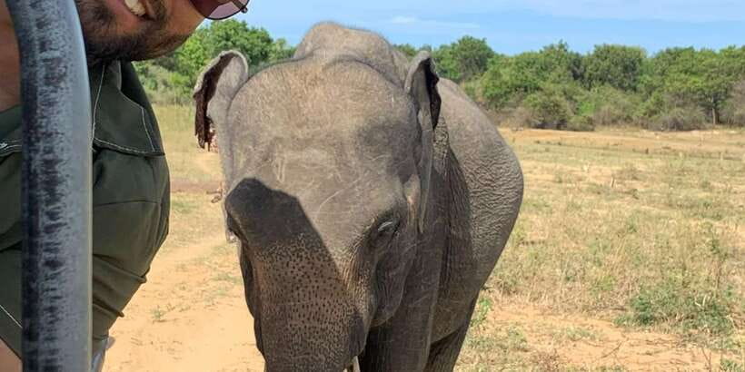 Udawalawe National park with Safari jeep & Entrance ticket - Key things to know before you go