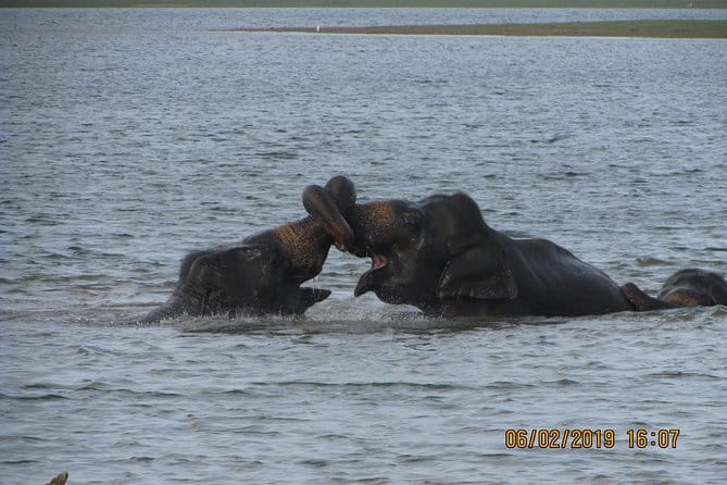 Udawalawe Safari & Baby Elephants Visit from Hambantota Port - What it feels like in the jeep: open-air time and how to get comfortable
