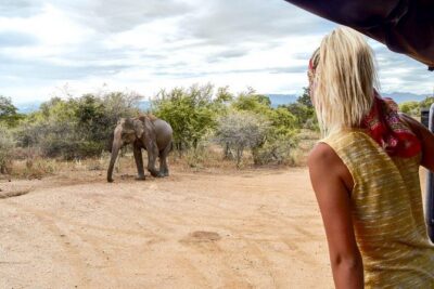 Udawalawe Safari DayTrip frm Bentota/Kalutara/Ahungalla/Hikkaduwa - The 3-hour jeep safari: what you should watch for