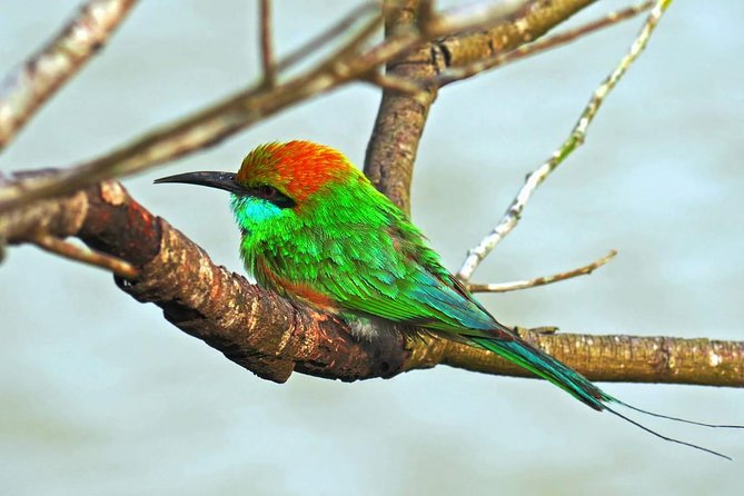 Udawalawe Safari DayTrip frm Bentota/Kalutara/Ahungalla/Hikkaduwa - Price and value: is $200 per person fair for this format?