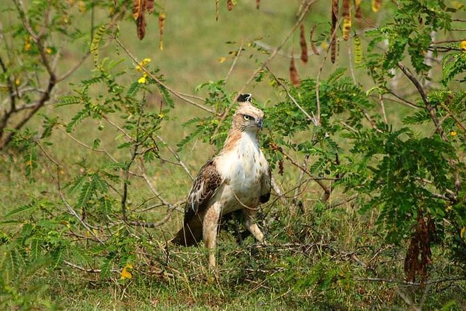 Udawalawe Safari Private Day Trip from Bentota and Kalutara Areas - Price and value: is $220 per person fair for this day?