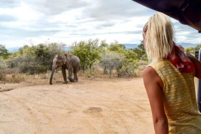 Udawalawe Safari Private Day Trip with Lunch - All Inclusive - Price and What You Actually Get for $110